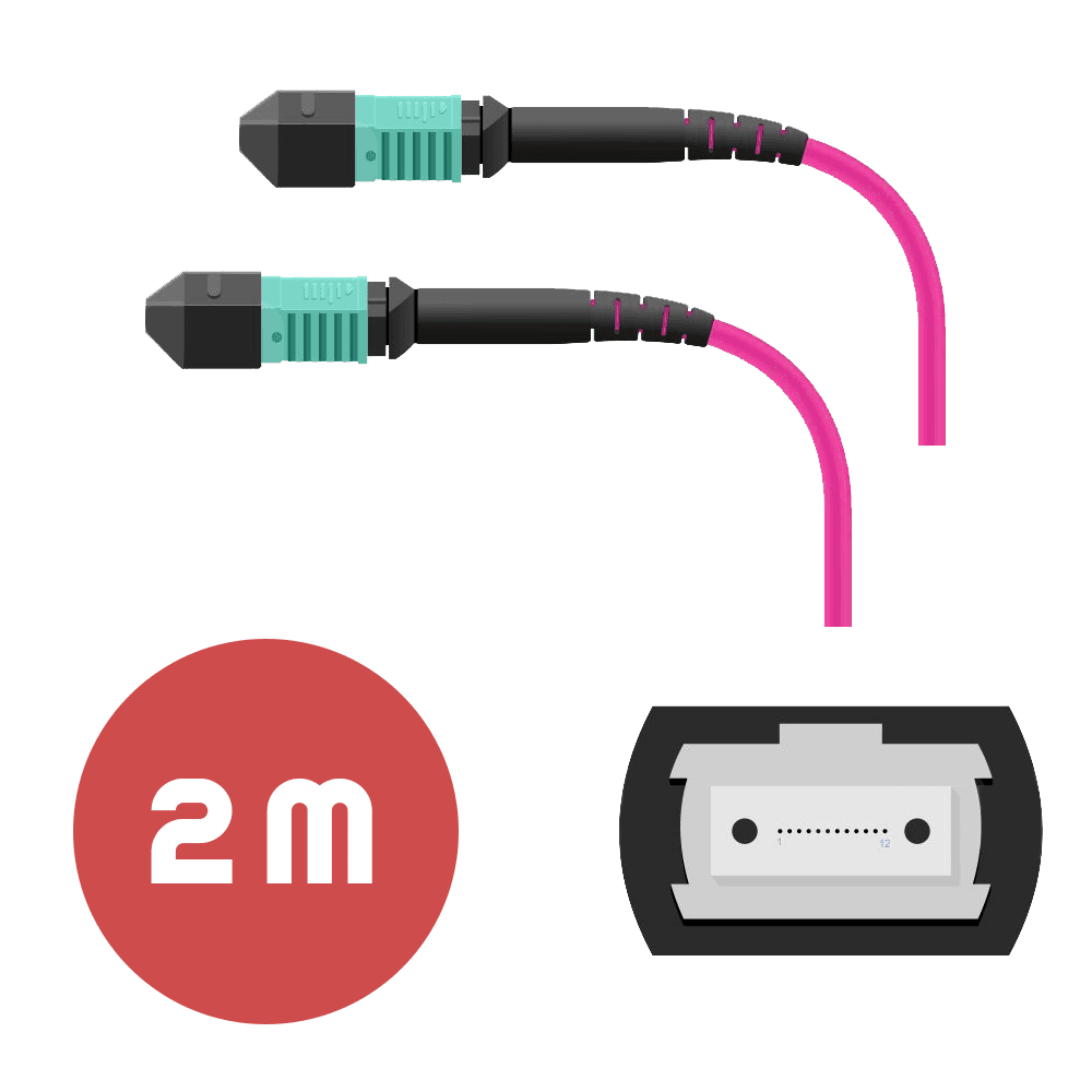 Патч-корд MPO/UPC FF 12F MM OM4 LSZH - 2м