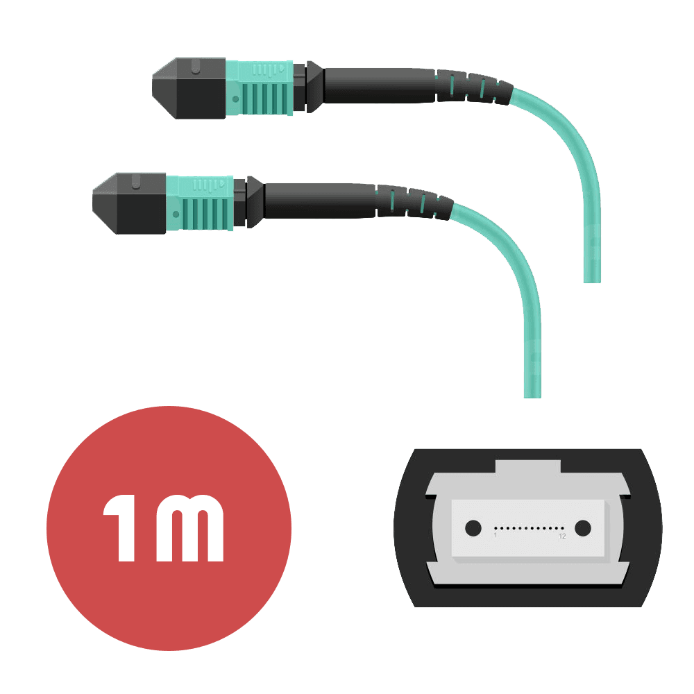 Патч-корд MPO/UPC FF 12F MM OM3 LSZH - 1м
