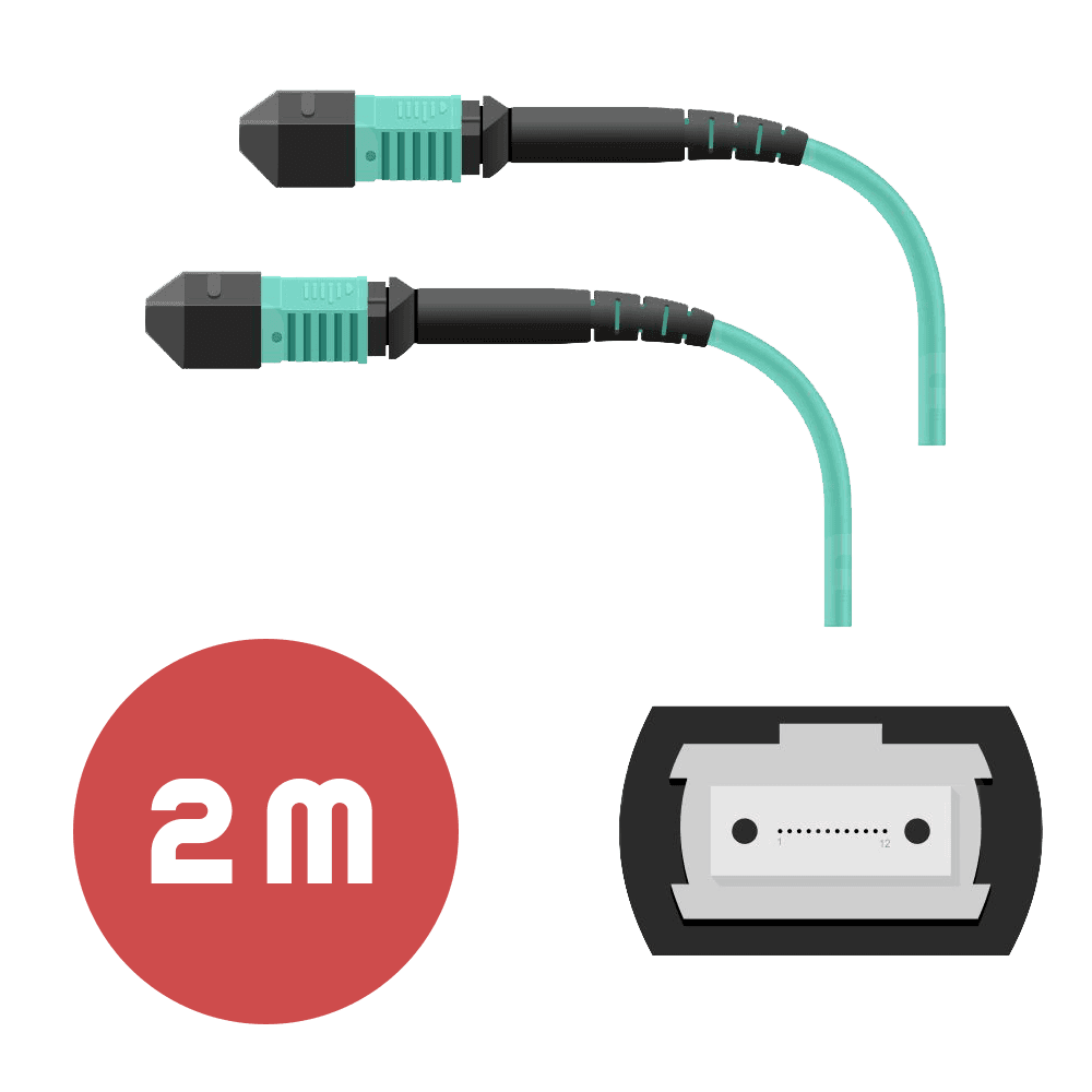 Патч-корд MPO/UPC FF 12F MM OM3 LSZH - 2м